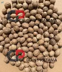 NUTMEG - round