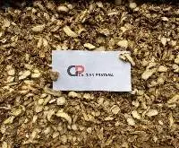 Aromatic Ginger ( Kaempferia Galangal L. )