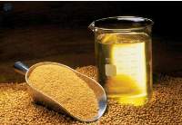 Gmo Soybean Meal