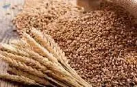 Wheat