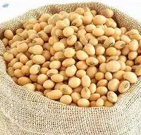 Soyabean