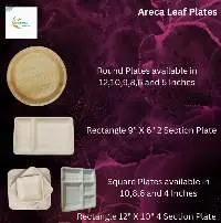 Areca Leaf Plates