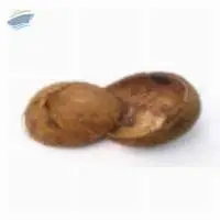 Coconut Shells