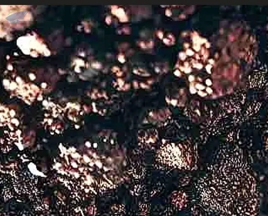 Copper Concentrate