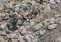 Copper Ore