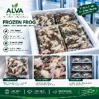 Premium Frozen Frogs (Field/Paddy)