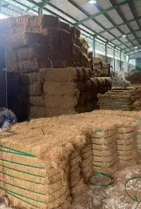 Cocofiber/ Coconut Fiber