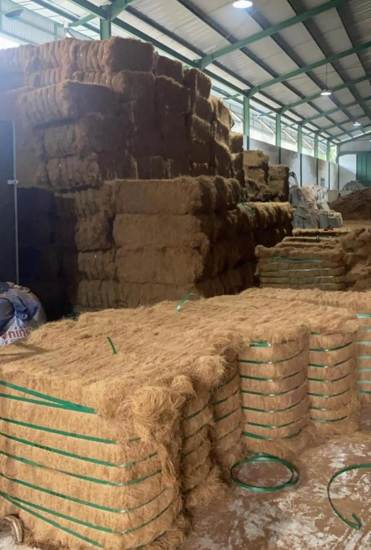 Cocofiber/ Coconut Fiber