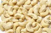 Cashew