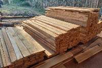 Sawn Teak