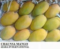 Indian Mango