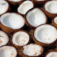 Coconut