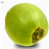 Tender Coconut