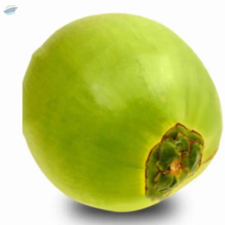 Tender Coconut