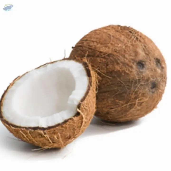 Semi Coconut Husked