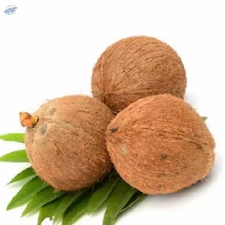 Coconut Husked