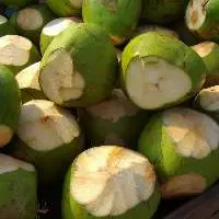 Green Coconut