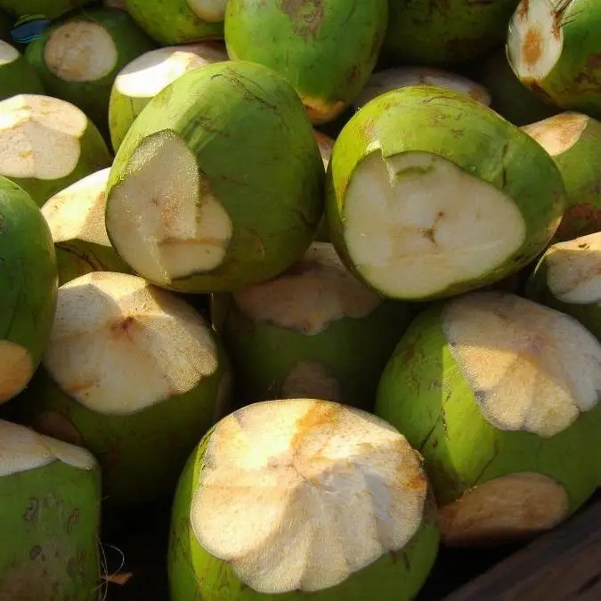 Green Coconut