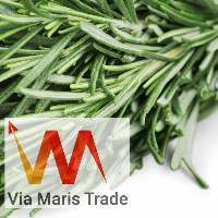Dried Sage Jar 50g