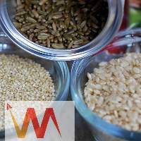 Freekeh 500 g Bag
