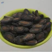 Watermelon Seeds