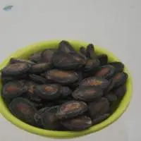 Watermelon Seeds 250 G