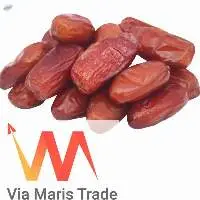 Premium Medjool Dates 500g