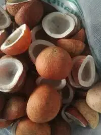 Dry Coconut