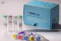 Soglent Covid-19 PCR Test Kit