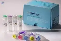 Soglent Covid-19 PCR Test Kit
