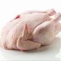 Grade A Frozen Whole Chicken Grillers/Broilers