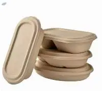 Bagasse Take Away Boxes
