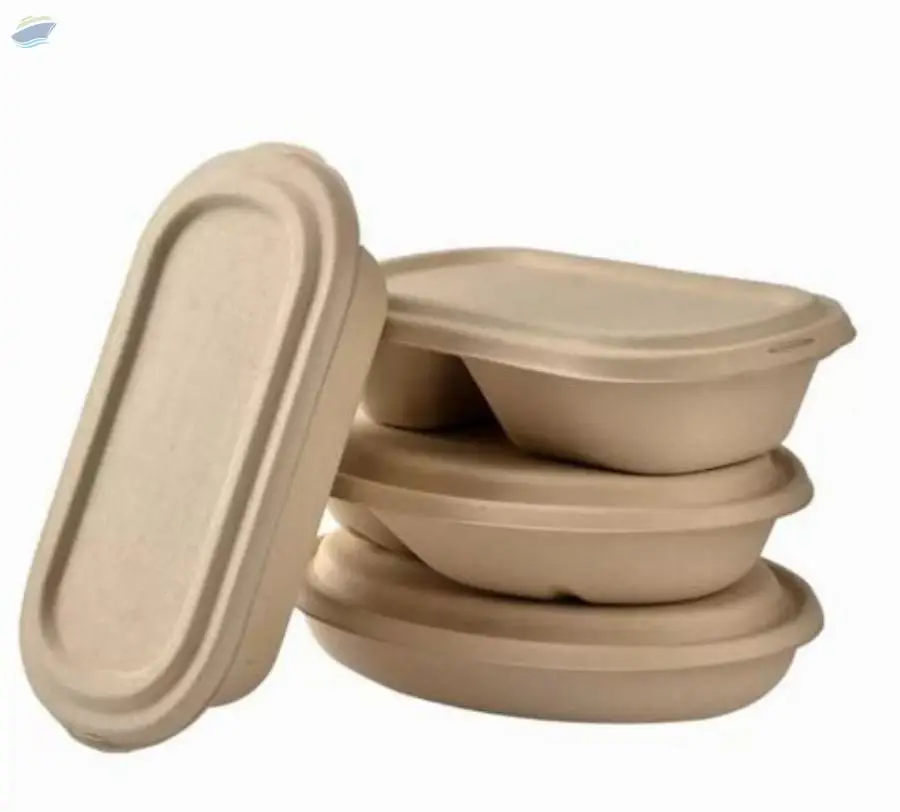 Bagasse Take Away Boxes