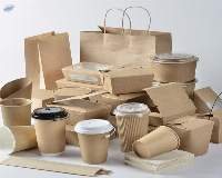 Disposable Paper Products