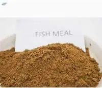 fish meal