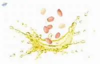 Groundnut ( Peanut ) Oil