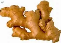 Ginger