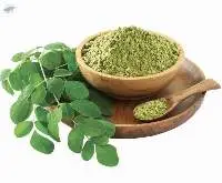 Moringa Powder