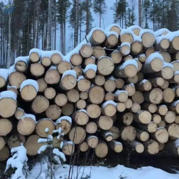 Pine Or Spruce Boards