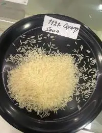Rice