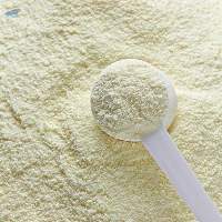 Camel Milk Powder
