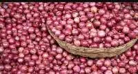 Onion
