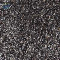 Niger Seed