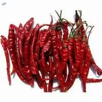 Dry Red Chili
