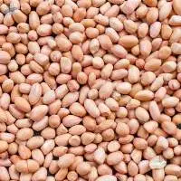 Ground Nut