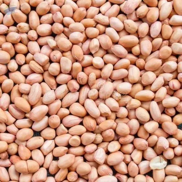 Ground Nut