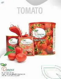 Tomato Paste Not Concentrate