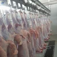Goat Meat, Sheep Meat, Beef