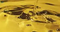Crude Soybean Oil 