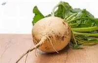 Sugar Refined Beet ICUMSA 45